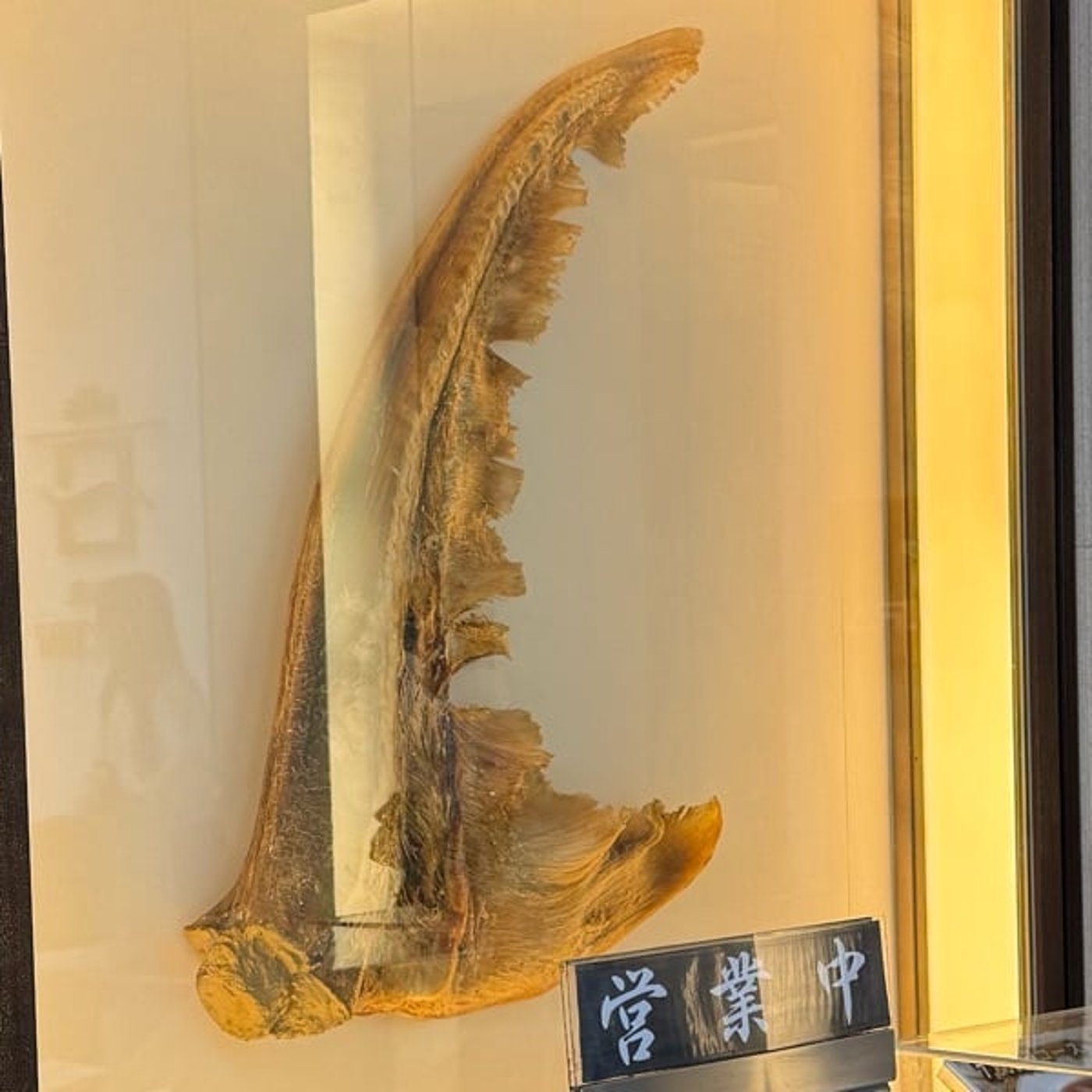 売上の波 売上の波