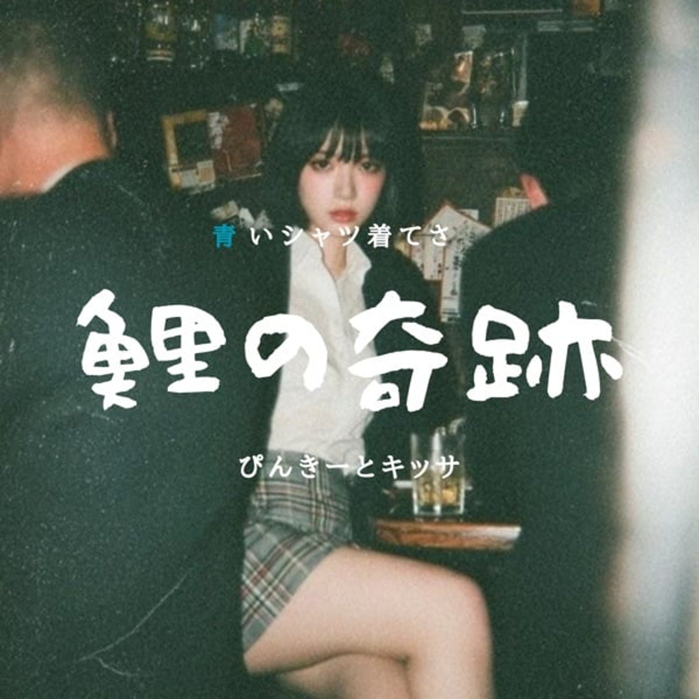 鯉 の 奇 跡 20260122 鯉 の 奇 跡 20260122