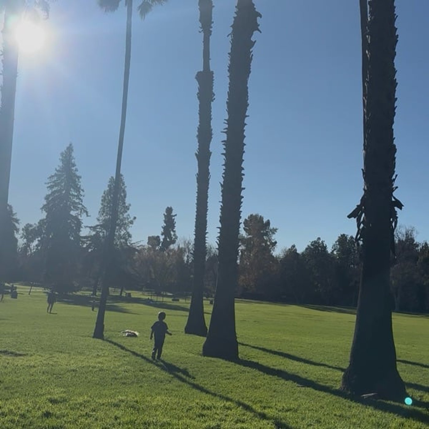 年明けの1週間おつかれさまでした！