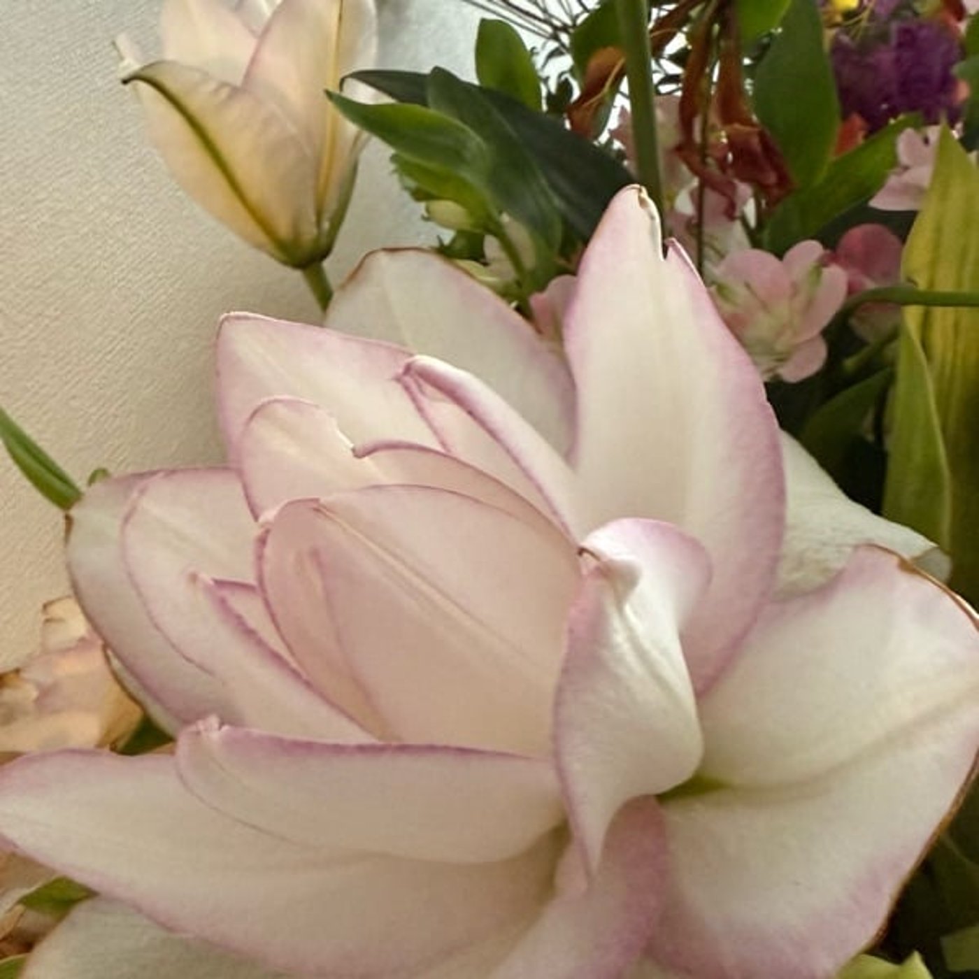 【第1124回】ツイテル!!どうでもいい!!!なんとかなる! 【第1124回】ツイテル!!どうでもいい!!!なんとかなる!