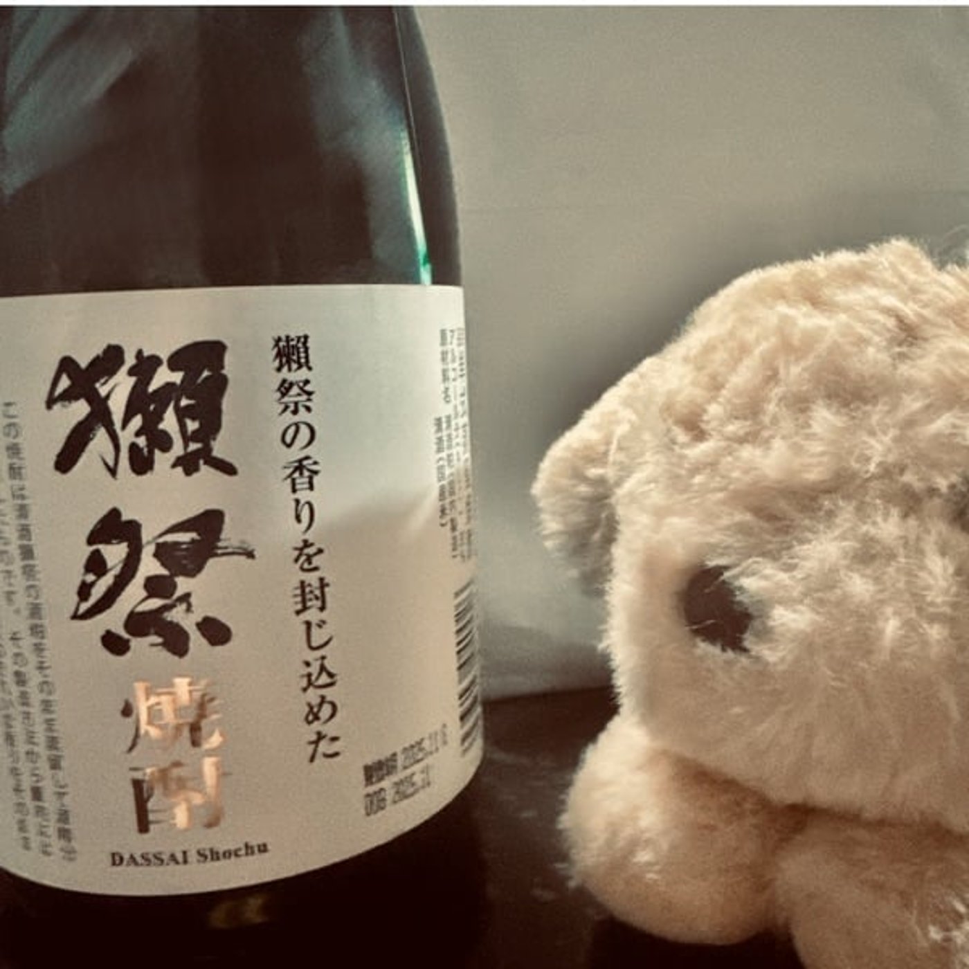 #21 成人の日の朝、今昔の僕