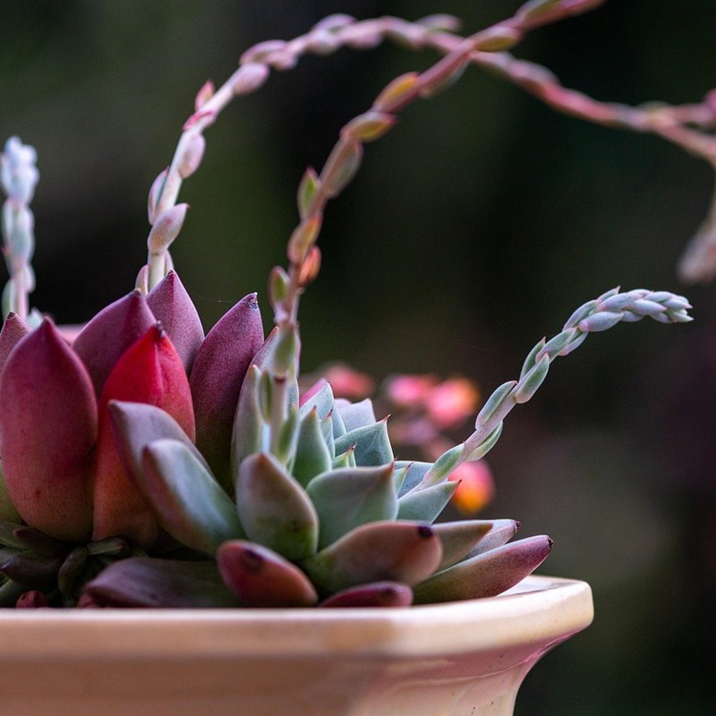 #798　心を整える朝のヒーリングピアノ　Yesが連れてくる人生の変化