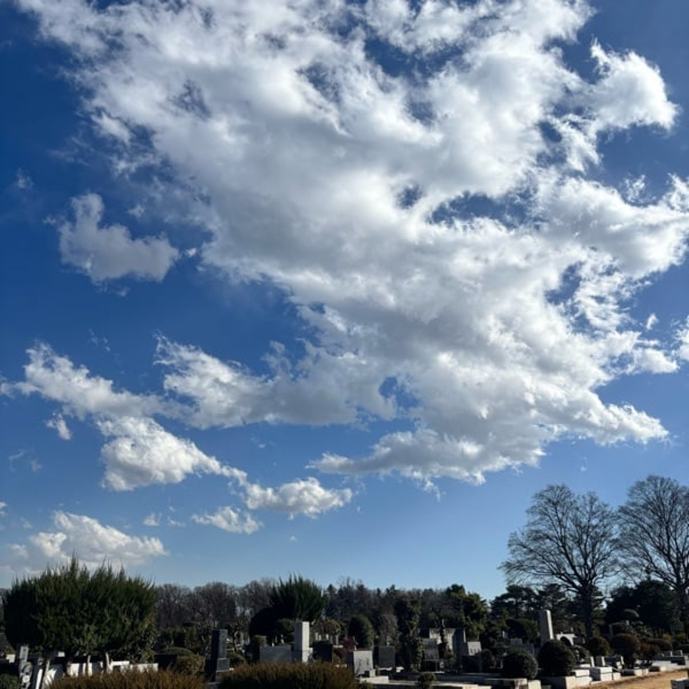 星にお願い⭐️PART-2〜幸せはどこから来るのか〜