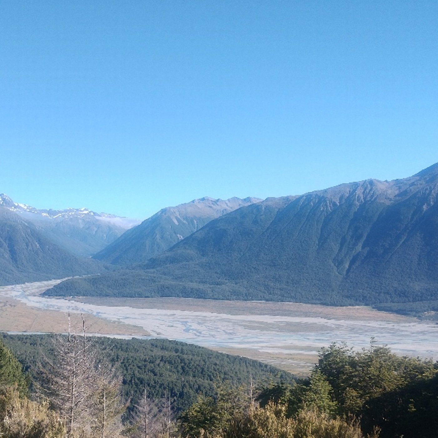 ちょっとずつ元気取り戻しつつある。ありがとね。