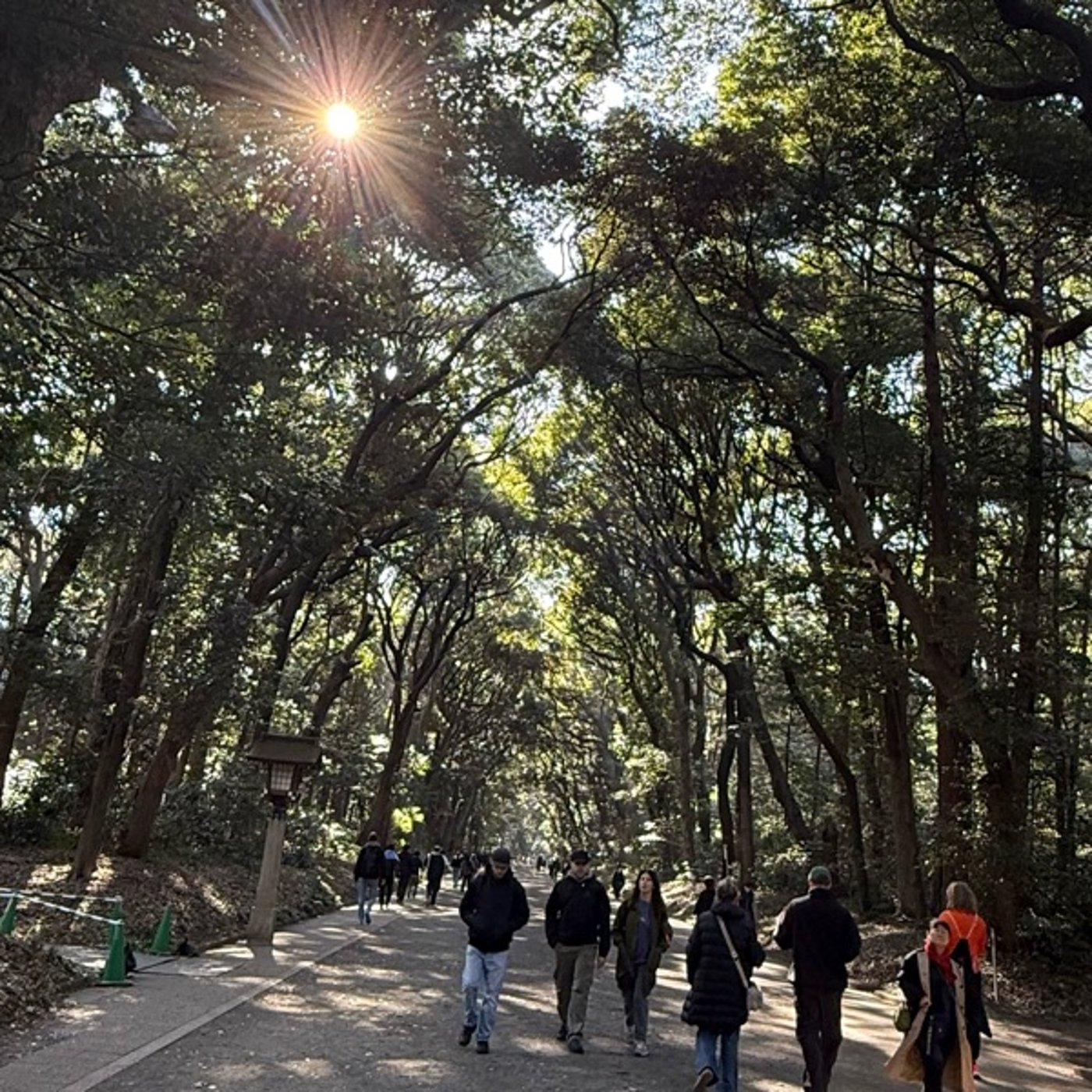 【第1130回】明治神宮行ってきたよ！！！！