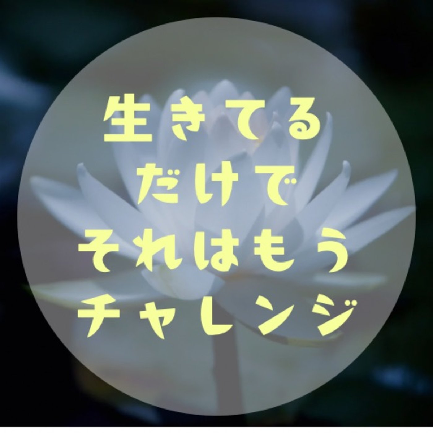 #051 【はじめの一歩ってなかなか出ないよね〜心身を小さく育もう〜】 episode artwork