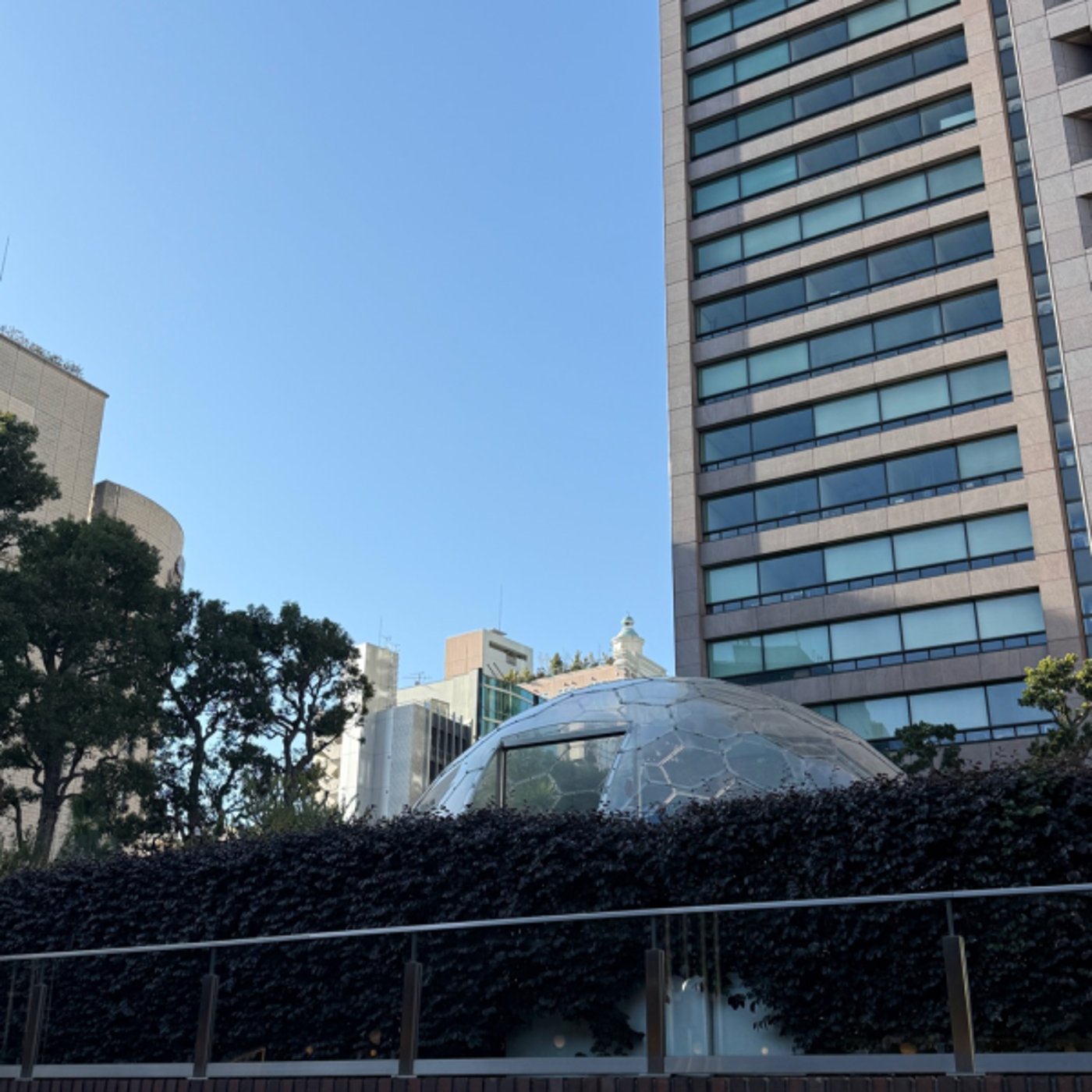 お散歩ライブ　たぶん渋谷方面