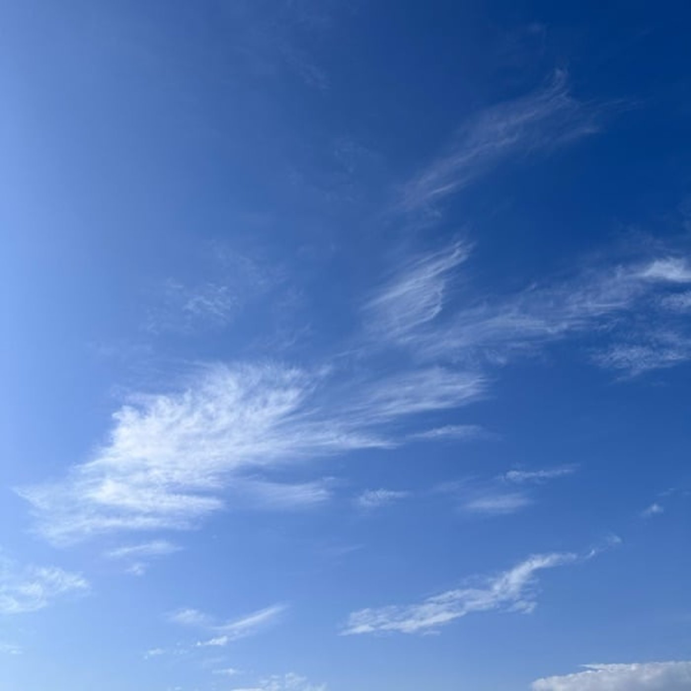 絶望が、人を輝かせる理由〜手を出さないという愛