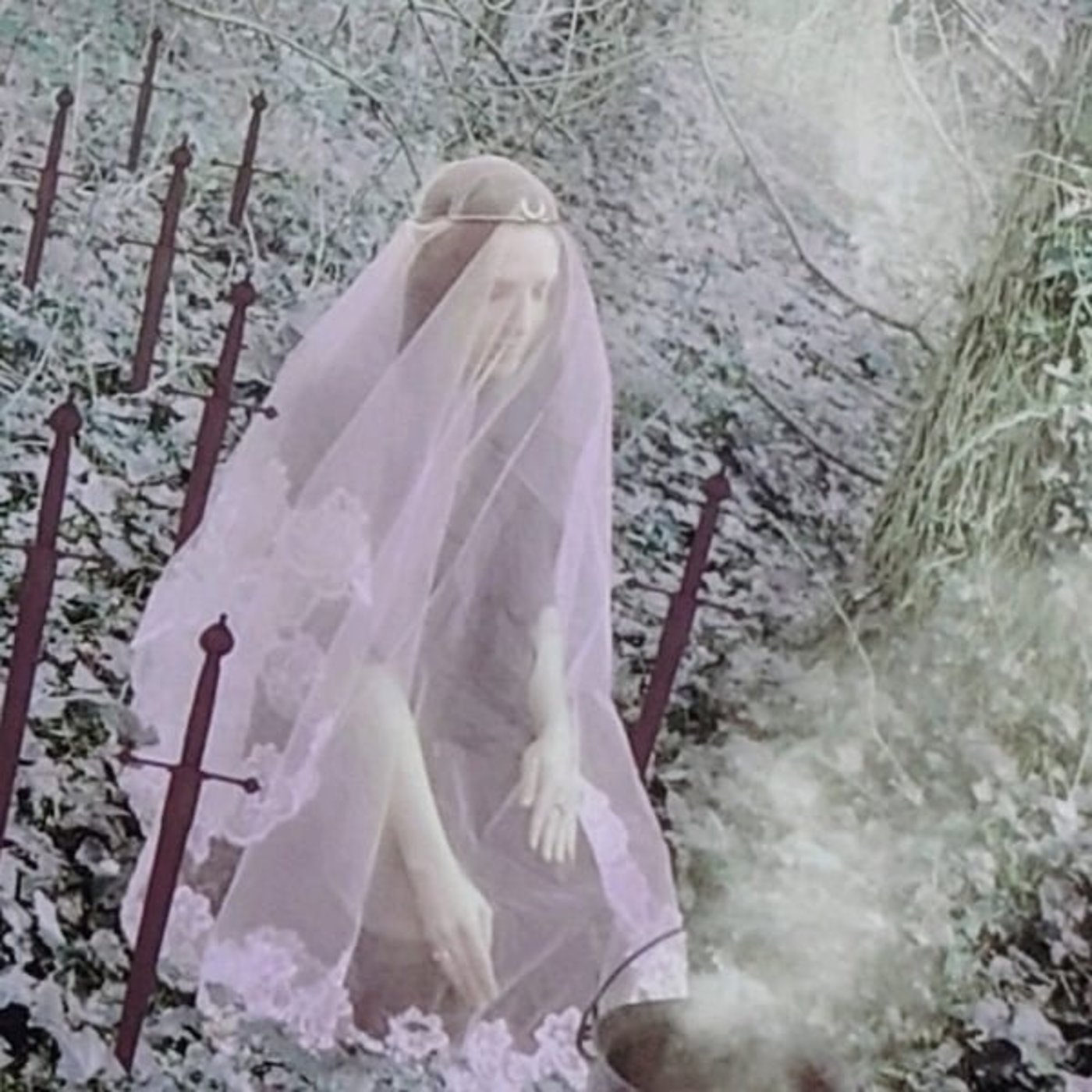 ℝ𝕖𝕝𝕒𝕩𝕪#𝟝𝟙 タロット✳カシオペヤ座からのメッセージ✳癒し