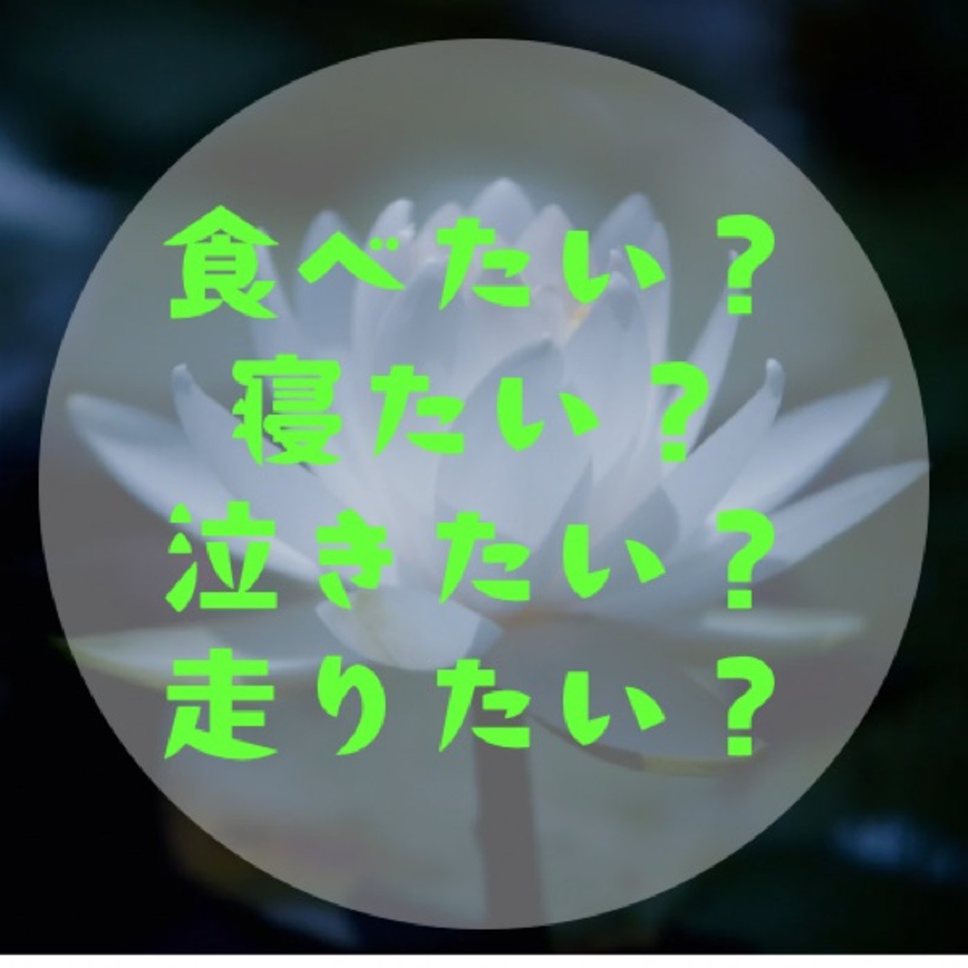 #053 【諦めるな！〜「自分」の生きる道は感じれば必ず見つかる〜】 episode artwork