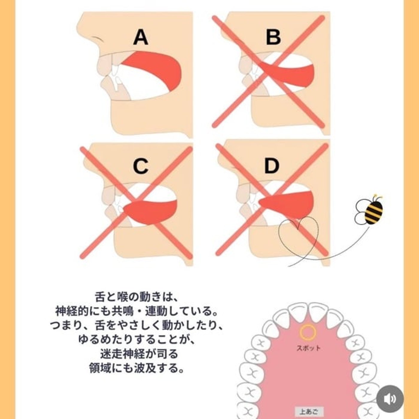 食いしばりと舌の位置の関係は？