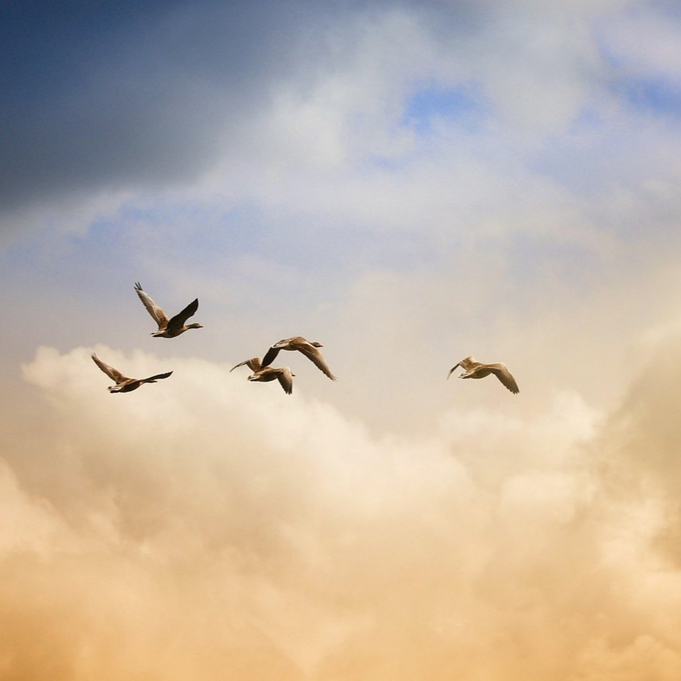 #802　心を整える朝のヒーリングピアノ 心の動きについて