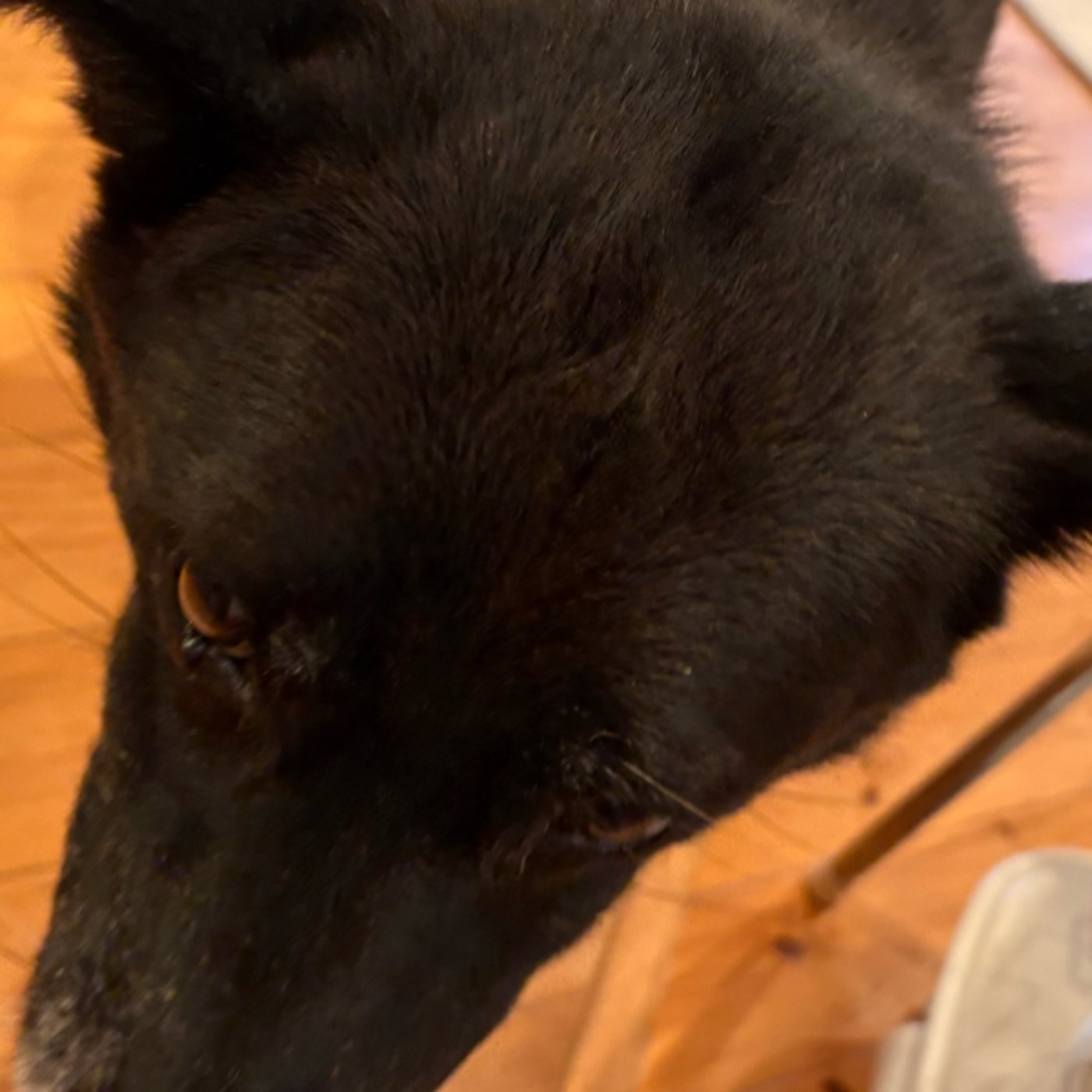 過剰医療|“自分の人生観に合う健康管理”について考える 過剰医療|“自分の人生観に合う健康管理”について考える