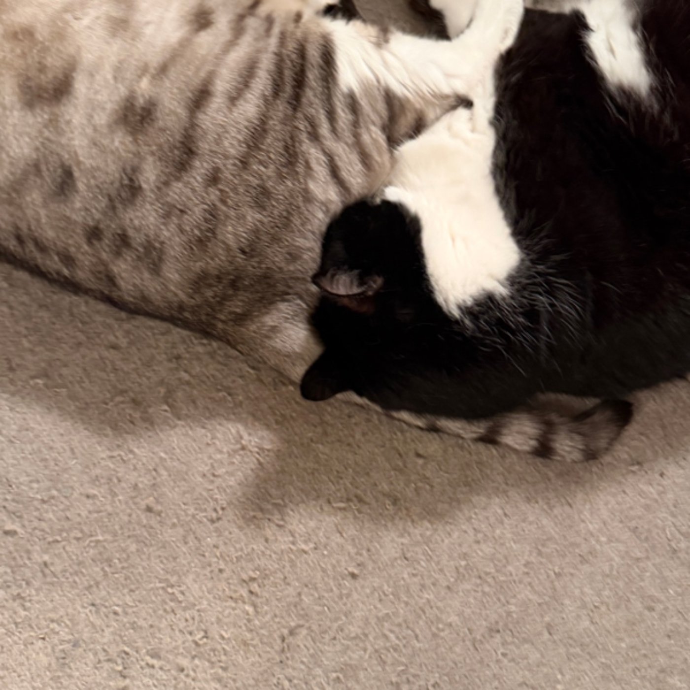 水瓶座⭐直感を磨くためのヒント✨10分朝ワーク♪ 水瓶座⭐直感を磨くためのヒント✨10分朝ワーク♪