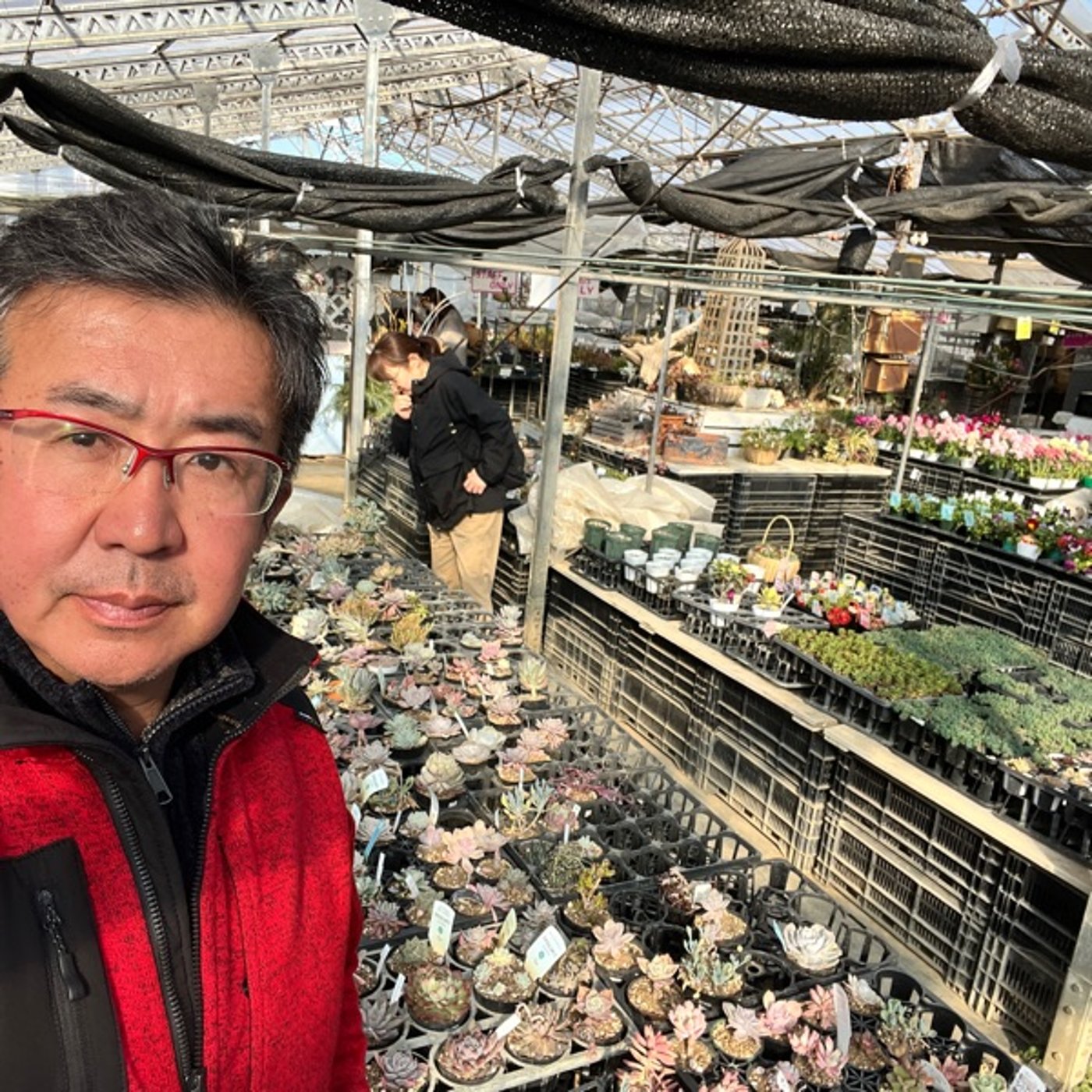 #622 横浜で多肉植物を買い込んで参りました カミさんが一生懸命育てます episode artwork