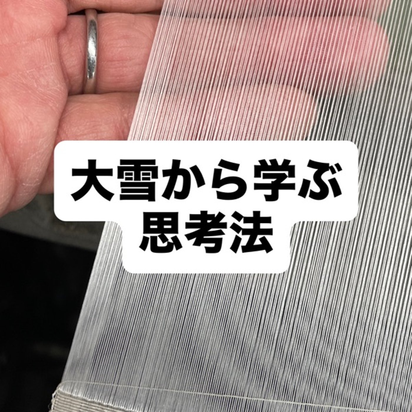 大雪から学ぶ思考法 episode artwork