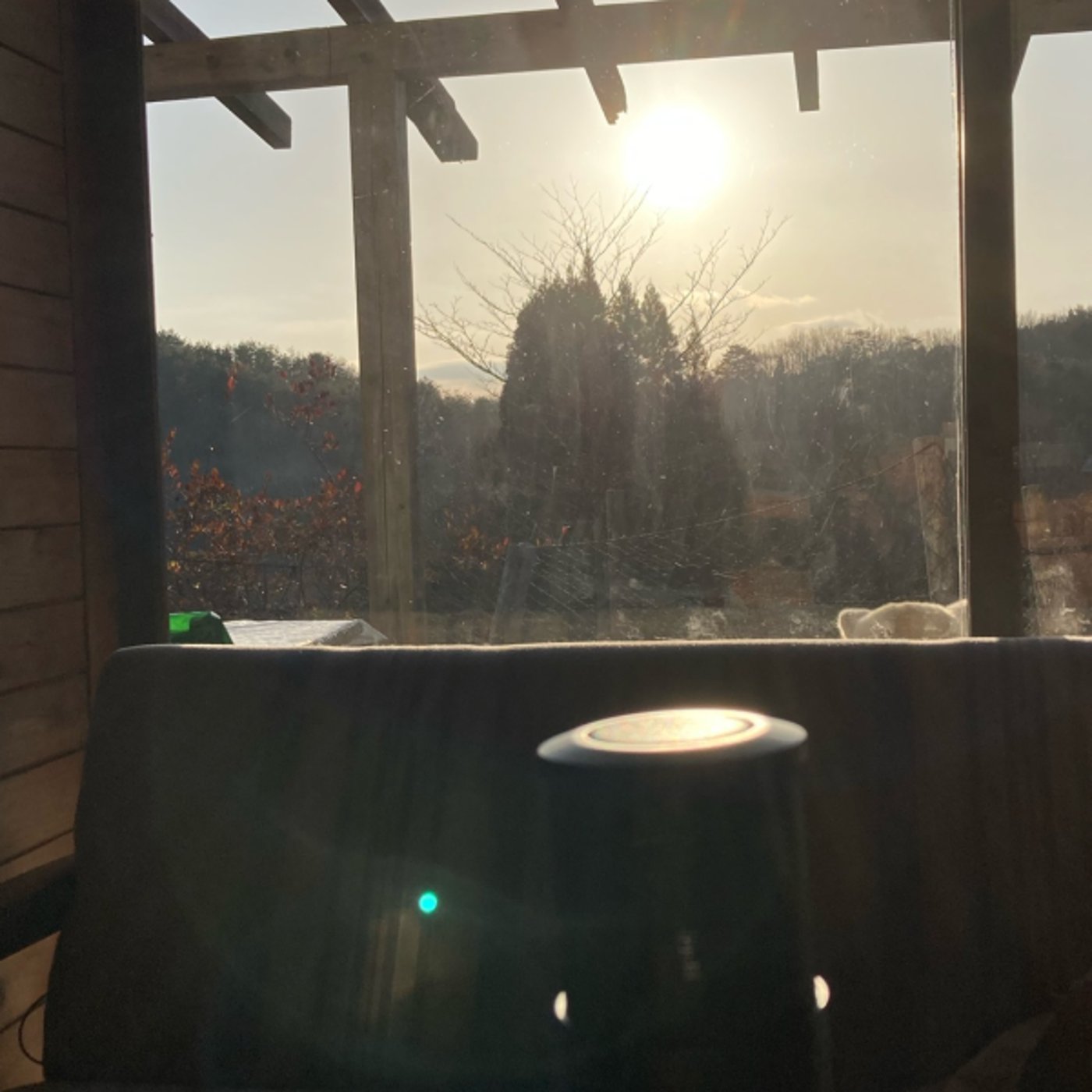 #202/LIVE 豆岳ラジオAwards2025!