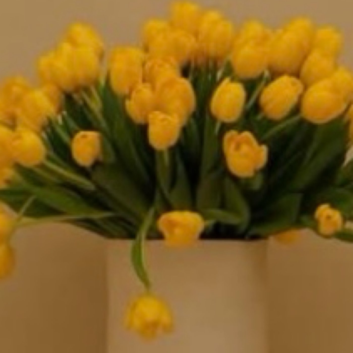 予感⭐直感を磨くためのヒント✨10分朝ワーク♪