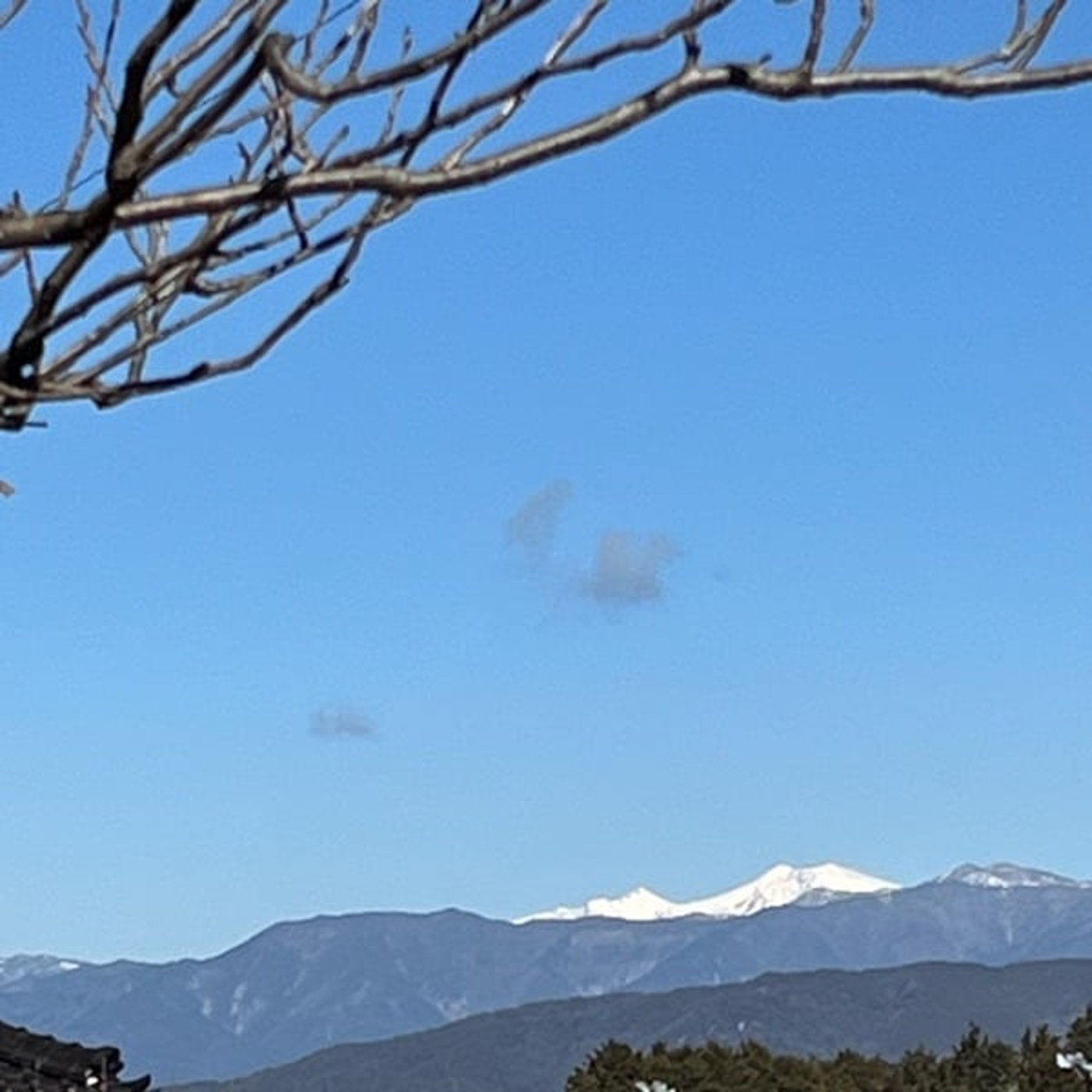 【今週のひとこと】どのパラレルにアクセスするかは自分次第~花🌸エッセンス紹介 【今週のひとこと】どのパラレルにアクセスするかは自分次第~花🌸エッセンス紹介