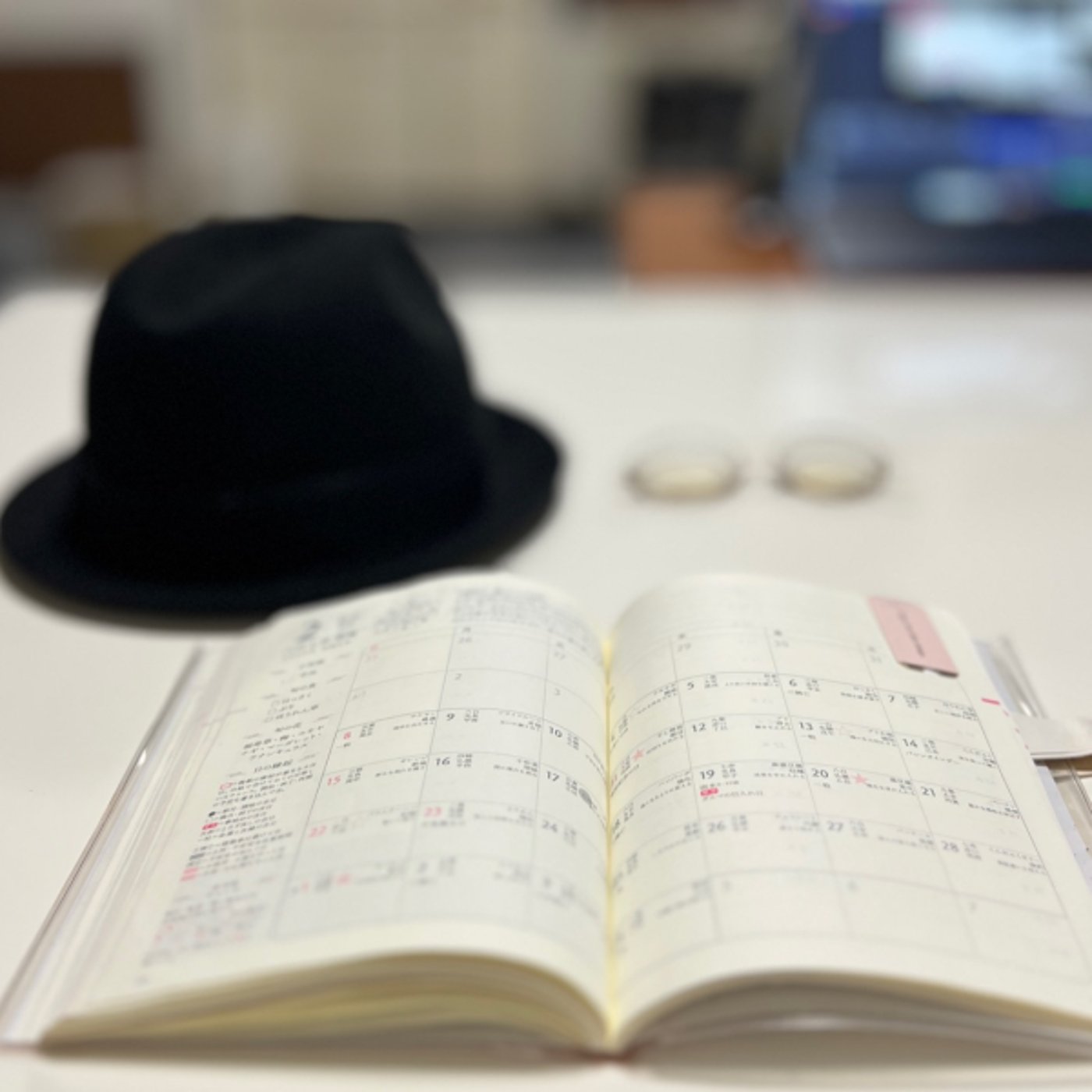 2026年2月のYouTube LIVE 2026年2月のYouTube LIVE