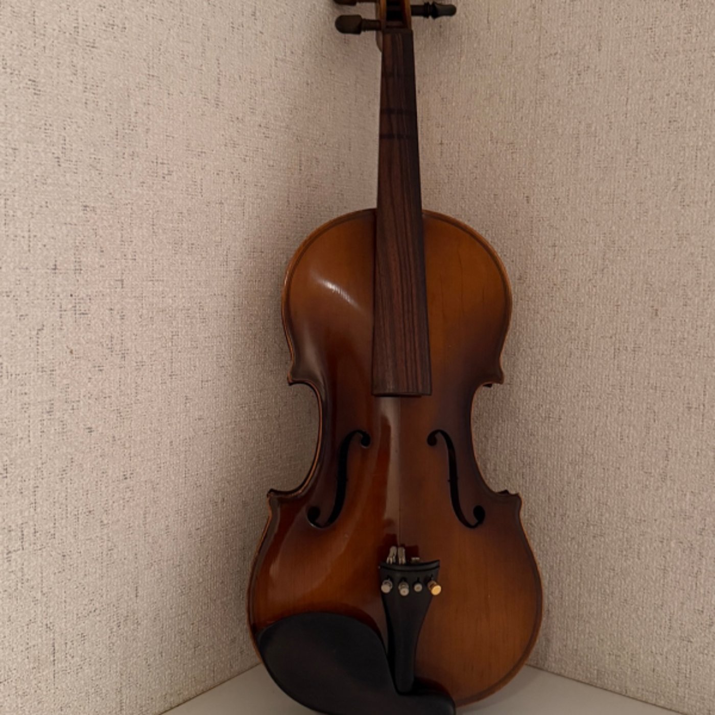 バイオリン〜繋がる広がる⭐直感を磨くためのヒント✨10分朝ワーク♪