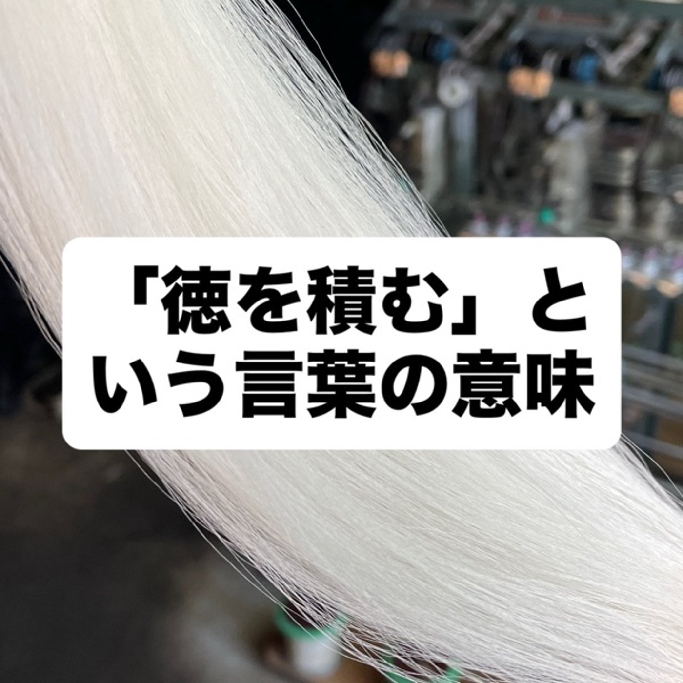 「徳を積む」という言葉の意味 episode artwork