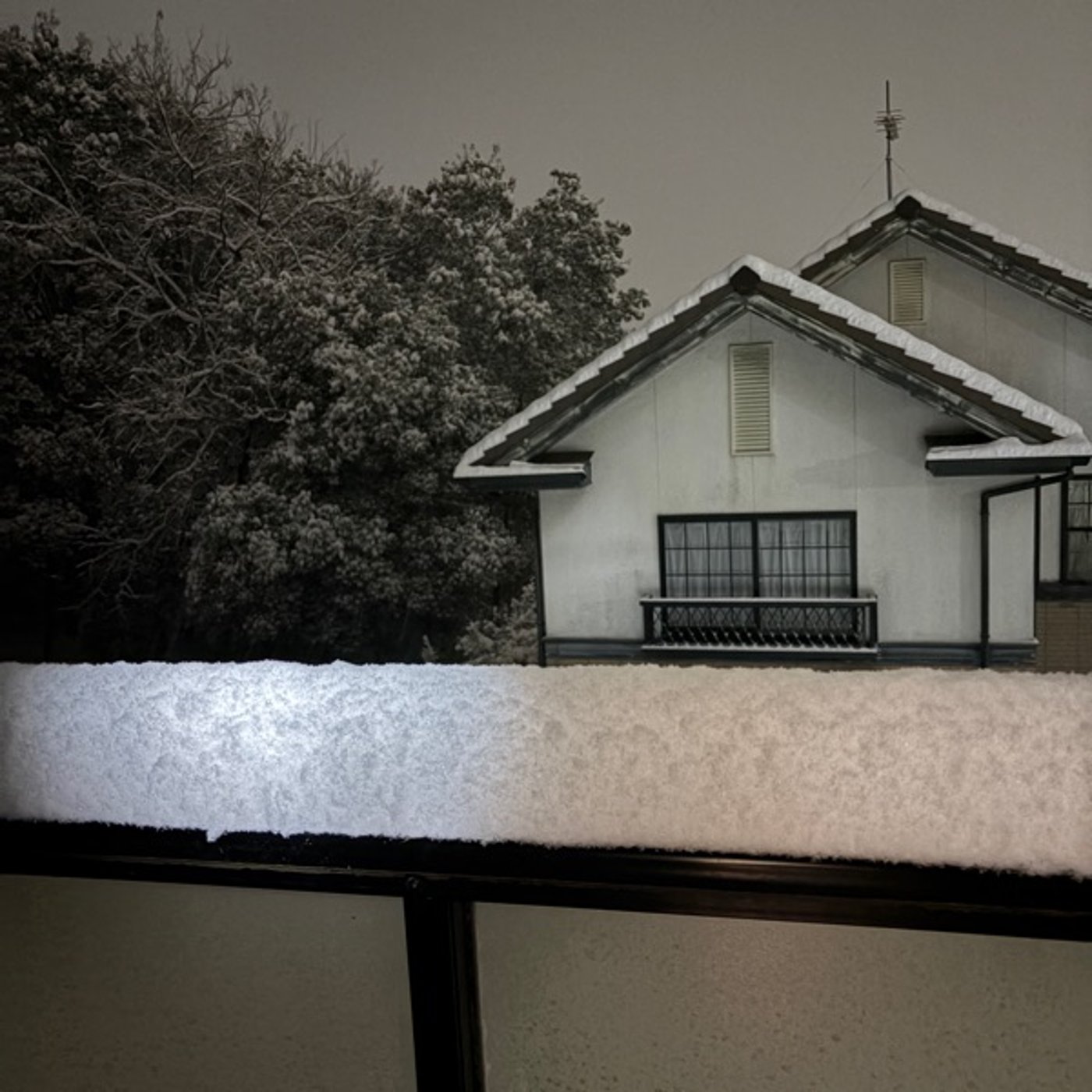 日曜日のライブ〜ぽん子のムーンラジオ 日曜日のライブ〜ぽん子のムーンラジオ