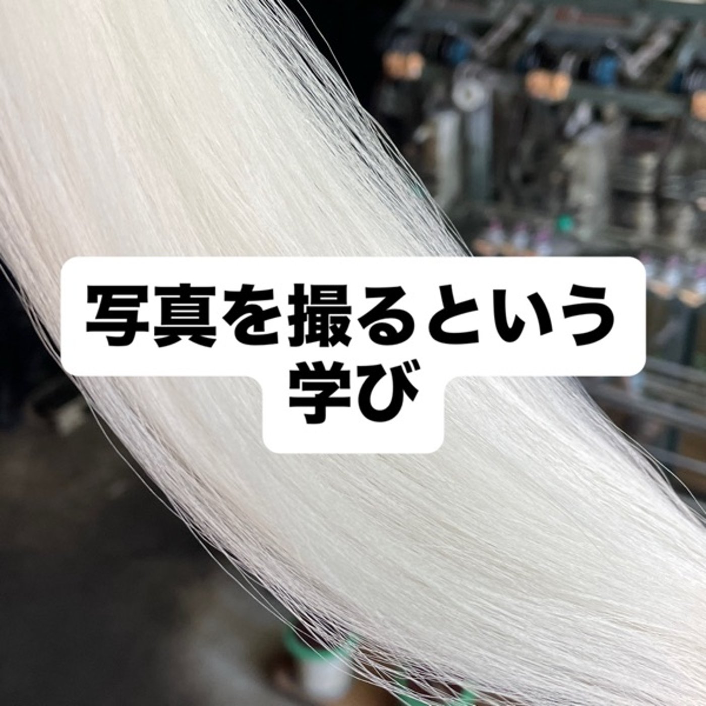 写真を撮るという学び episode artwork