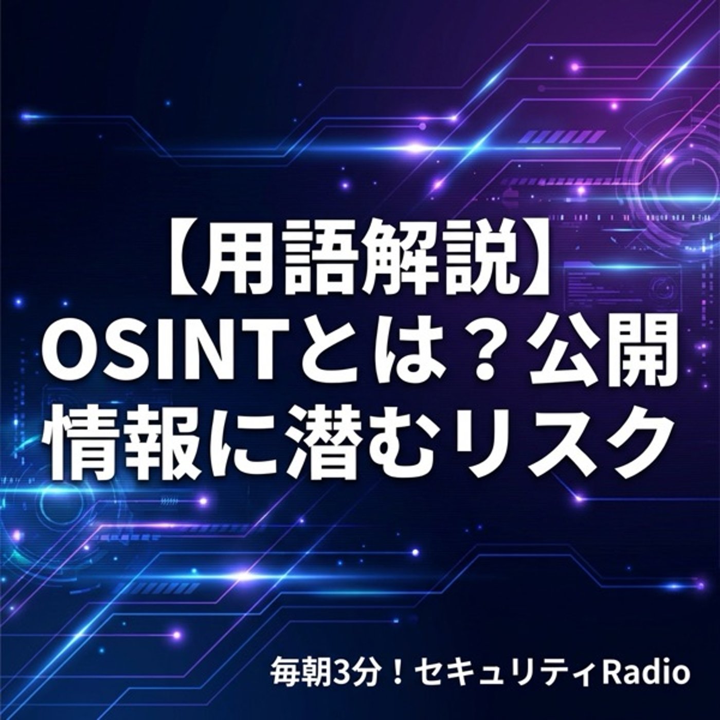 【用語解説】OSINTとは？公開情報に潜むリスク episode artwork