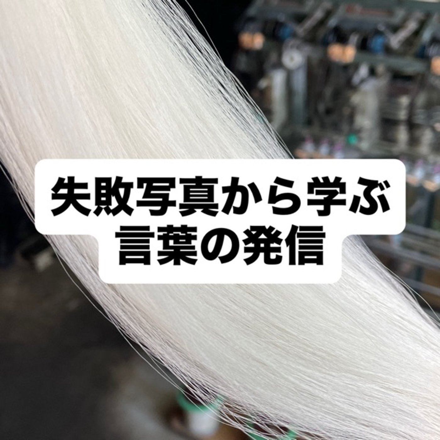 失敗写真から学ぶ言葉の発信 episode artwork
