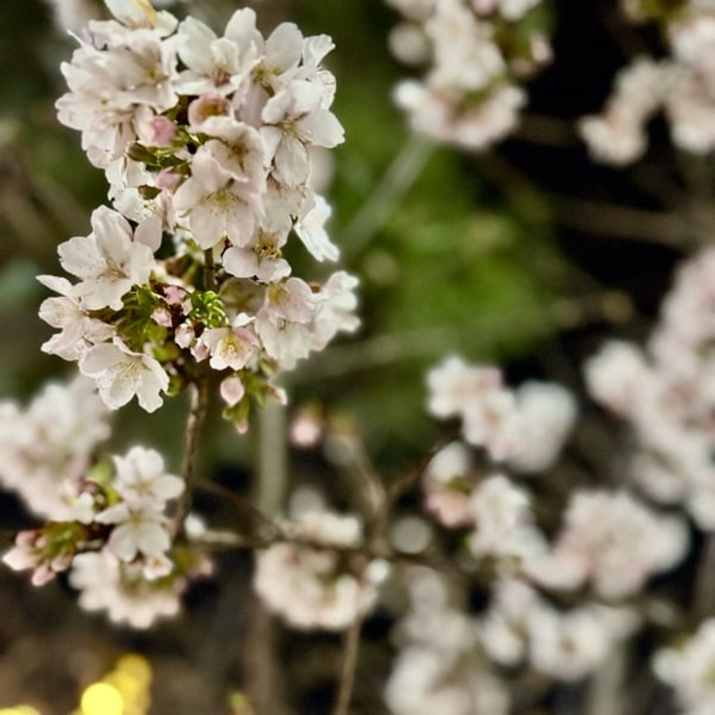 改善がさらなる悪化を生む 改善がさらなる悪化を生む