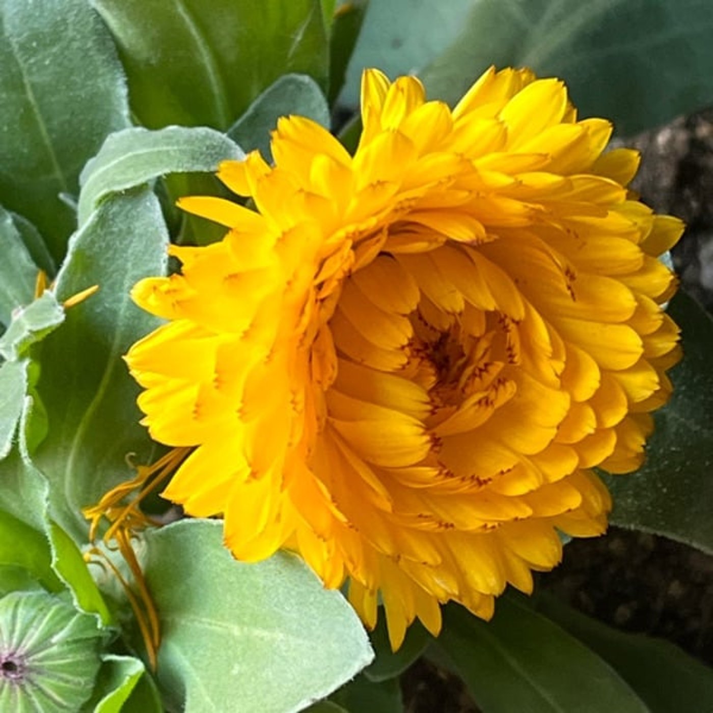 228 告別式で再会、そして…やらかしました。