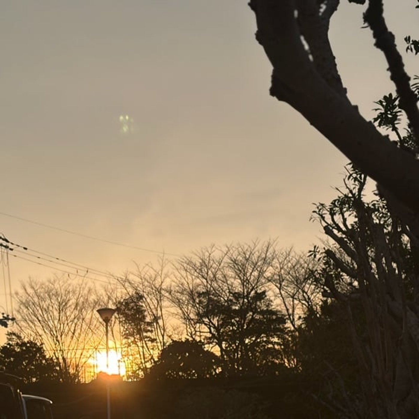 「竹田の子守唄」ウクレレ弾き語り 「竹田の子守唄」ウクレレ弾き語り