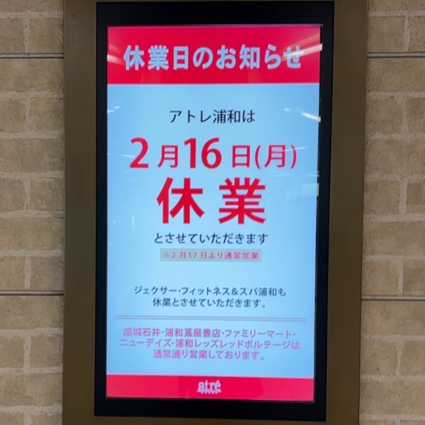 GUで生まれたてのアダムみたいになった GUで生まれたてのアダムみたいになった