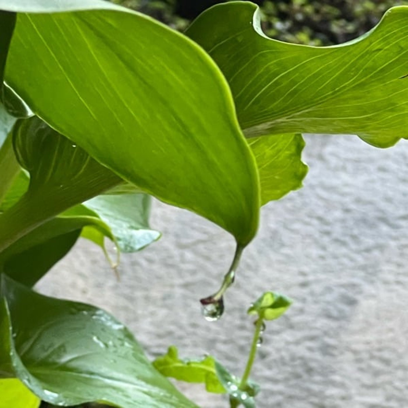 [495] 先輩達の体力と人生ダン