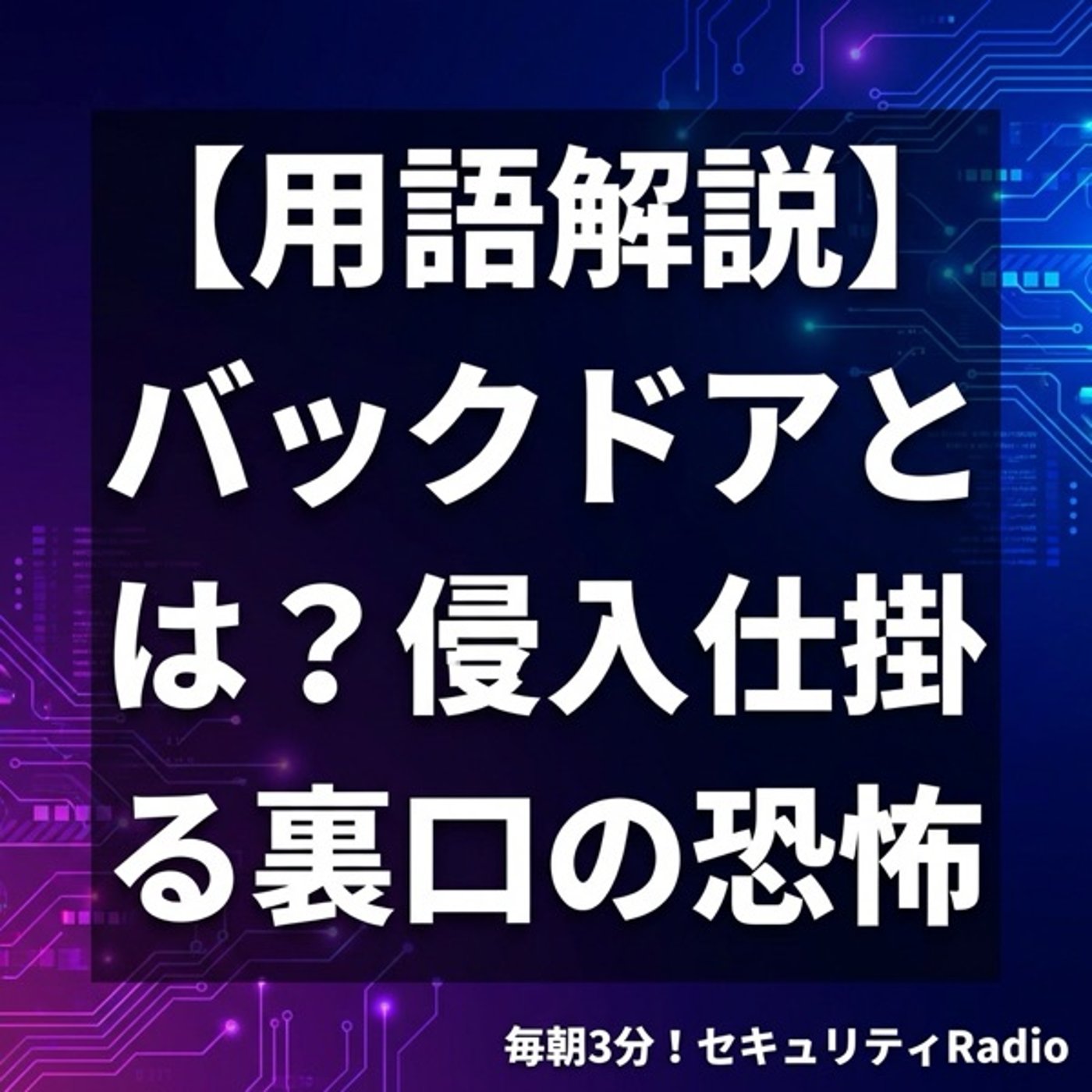 【用語解説】バックドアとは？侵入者が仕掛ける裏口の恐怖 episode artwork