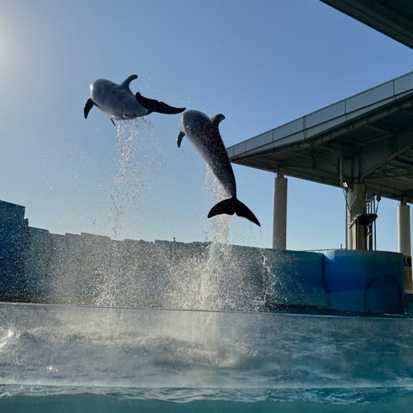 広告の数値結果が良くても売上が伸びない時