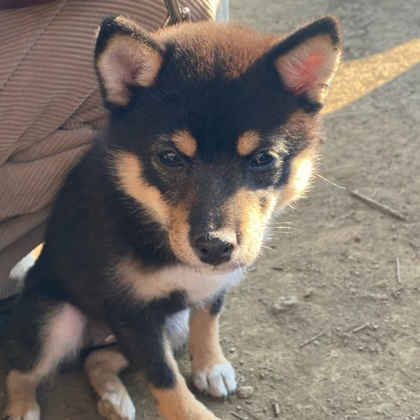 気楽に豊かに生きる人生レシピ
