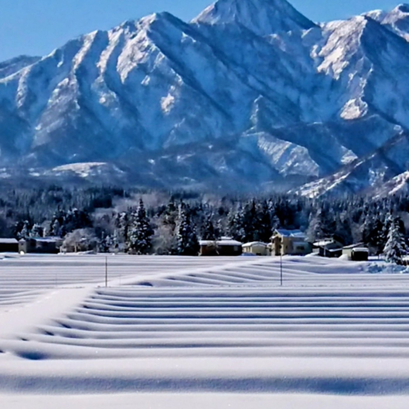 『マススタート』は競輪です。〜ミラノ五輪終わります。 『マススタート』は競輪です。〜ミラノ五輪終わります。