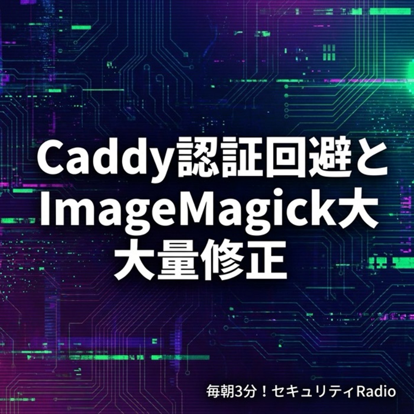 #20260226 Caddy認証回避とImageMagick大量修正 episode artwork