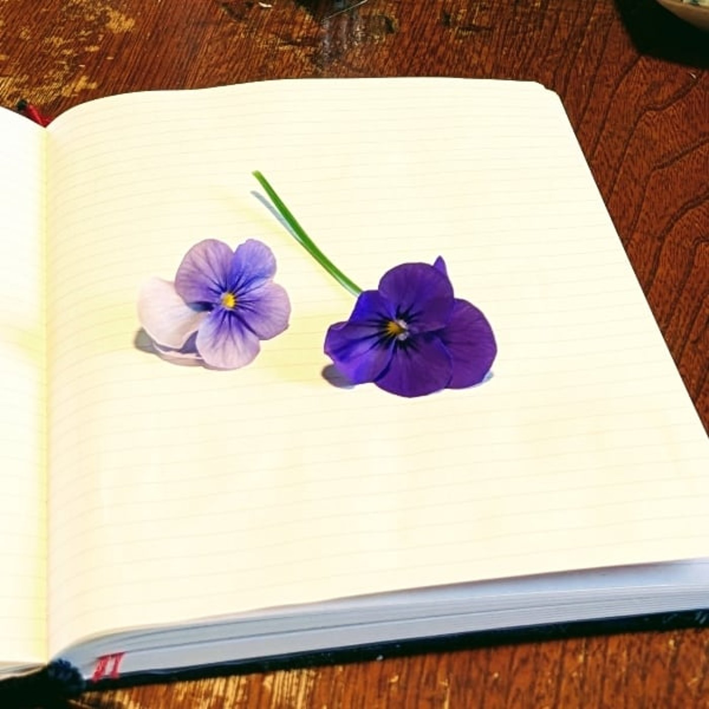 これが、ずっと続くのか…。好きが分からなかったあの頃。