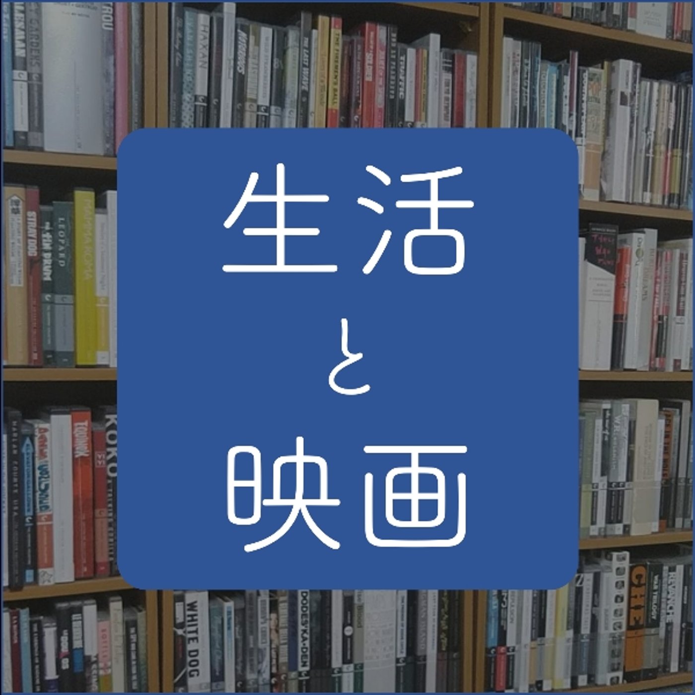 【番外編】レターにお答えする回
