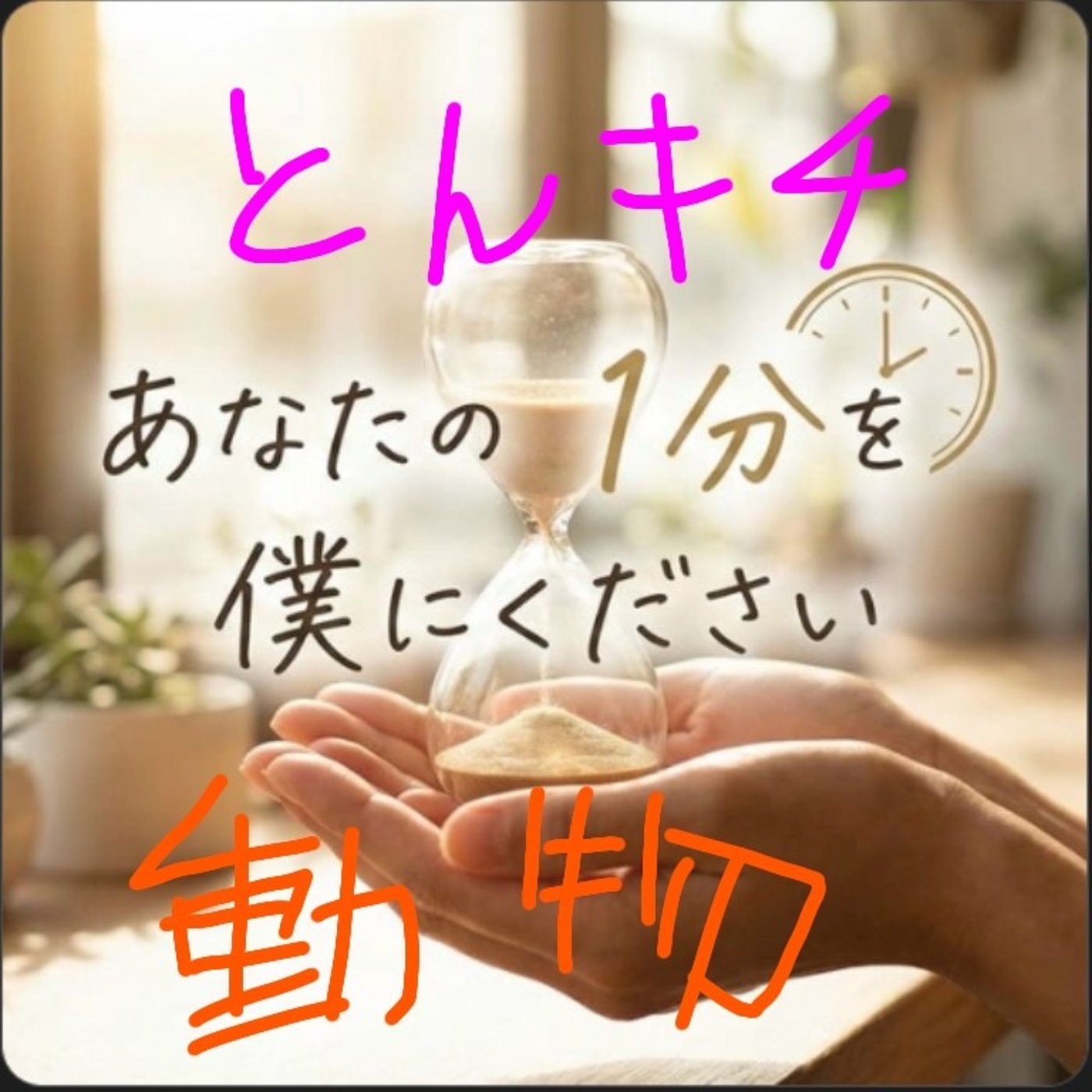 あなぼく　動物 episode artwork
