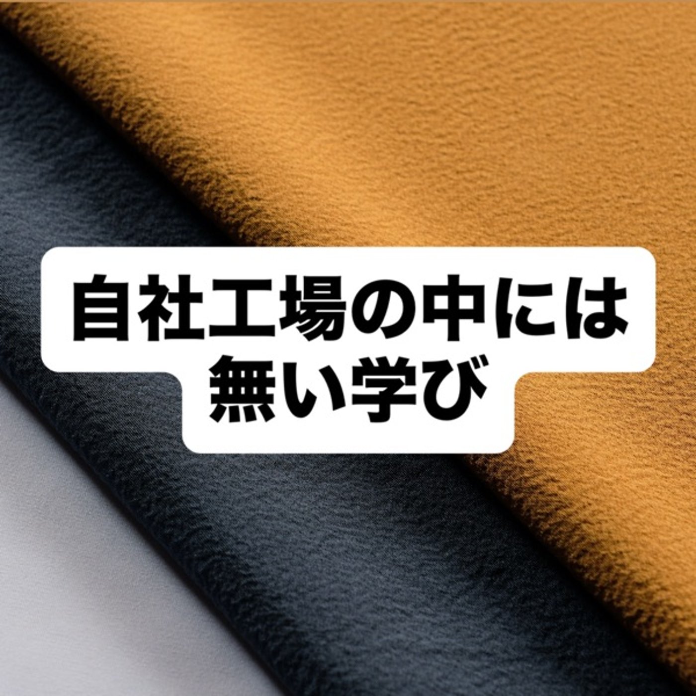 自社工場には無い学び episode artwork