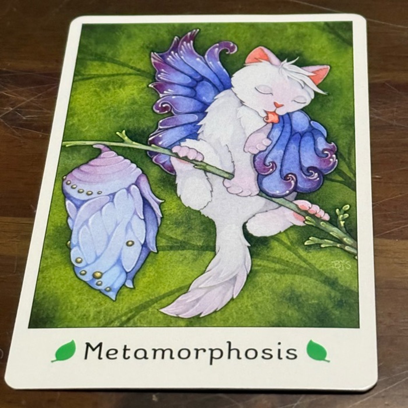 796【猫オラクルカード】3/2〜3/8のメッセージ『著しい変化』 796【猫オラクルカード】3/2〜3/8のメッセージ『著しい変化』