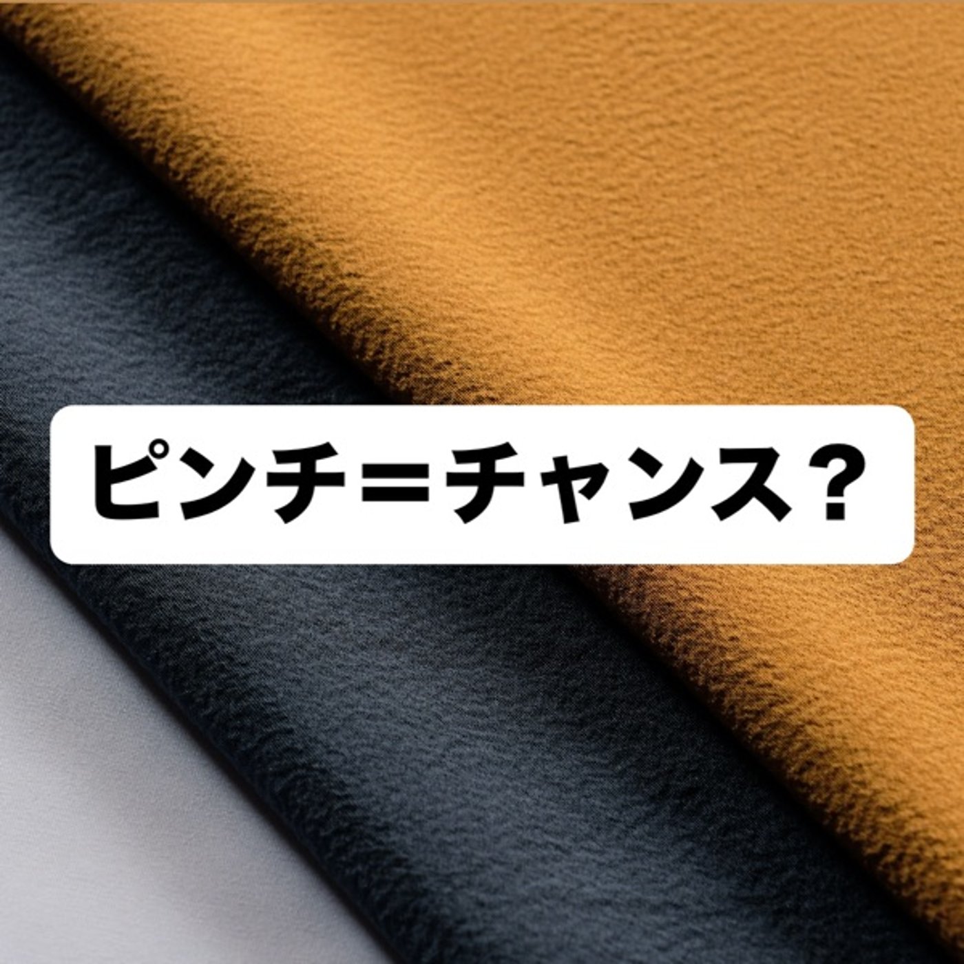 ピンチ＝チャンス？ episode artwork