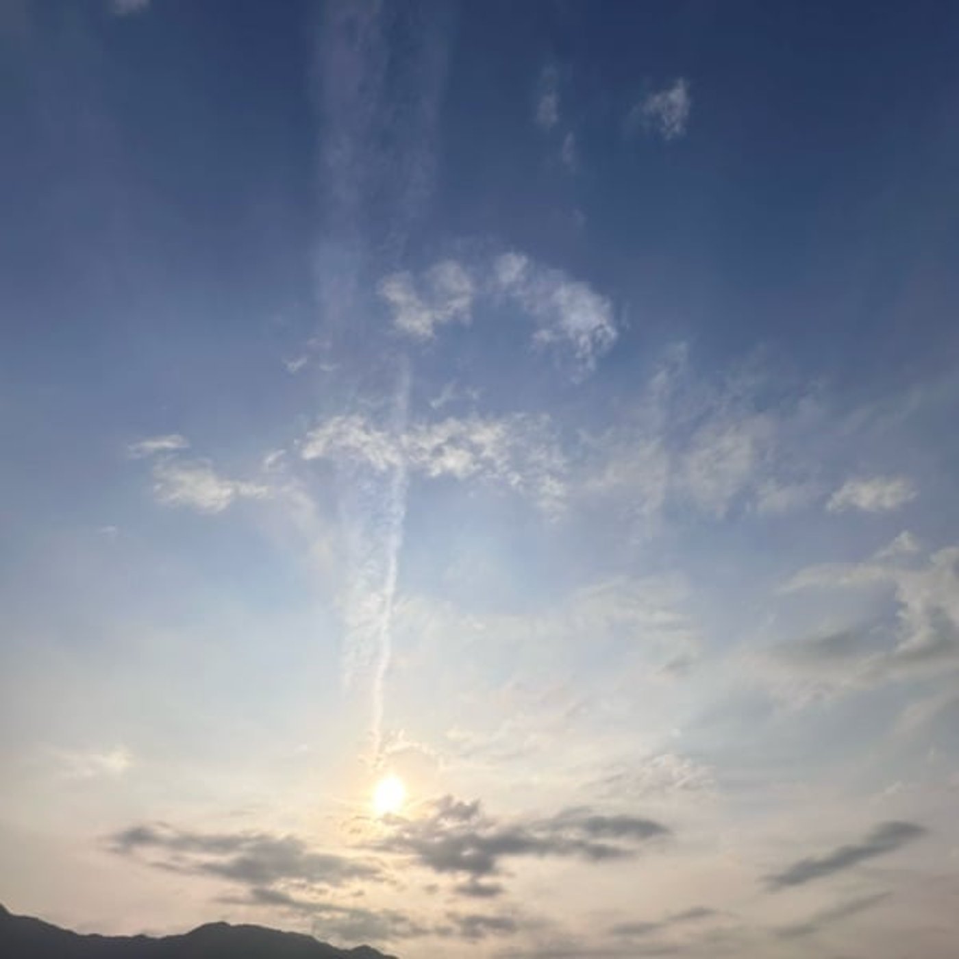 本能は、命そのものの意思である