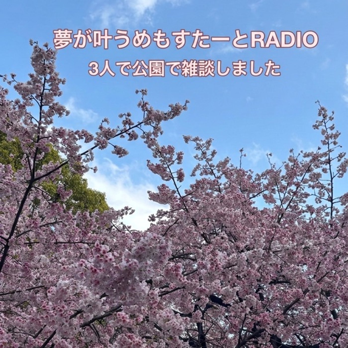 3人で公園で雑談しました episode artwork