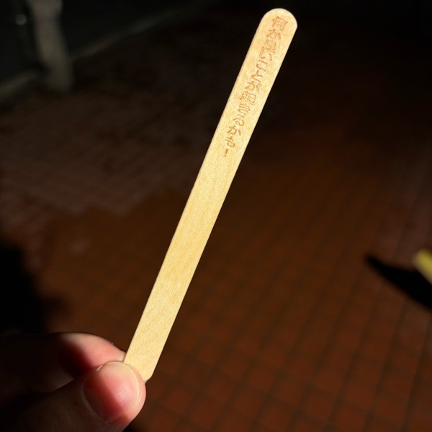 1725：飯島回／フルティガー・エアロ