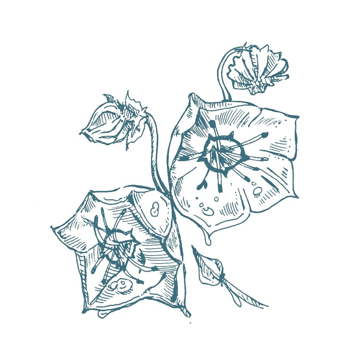 #9 産婦人科医に聞く「妊娠中のカフェイン摂取、ぶっちゃけどうしてる？」